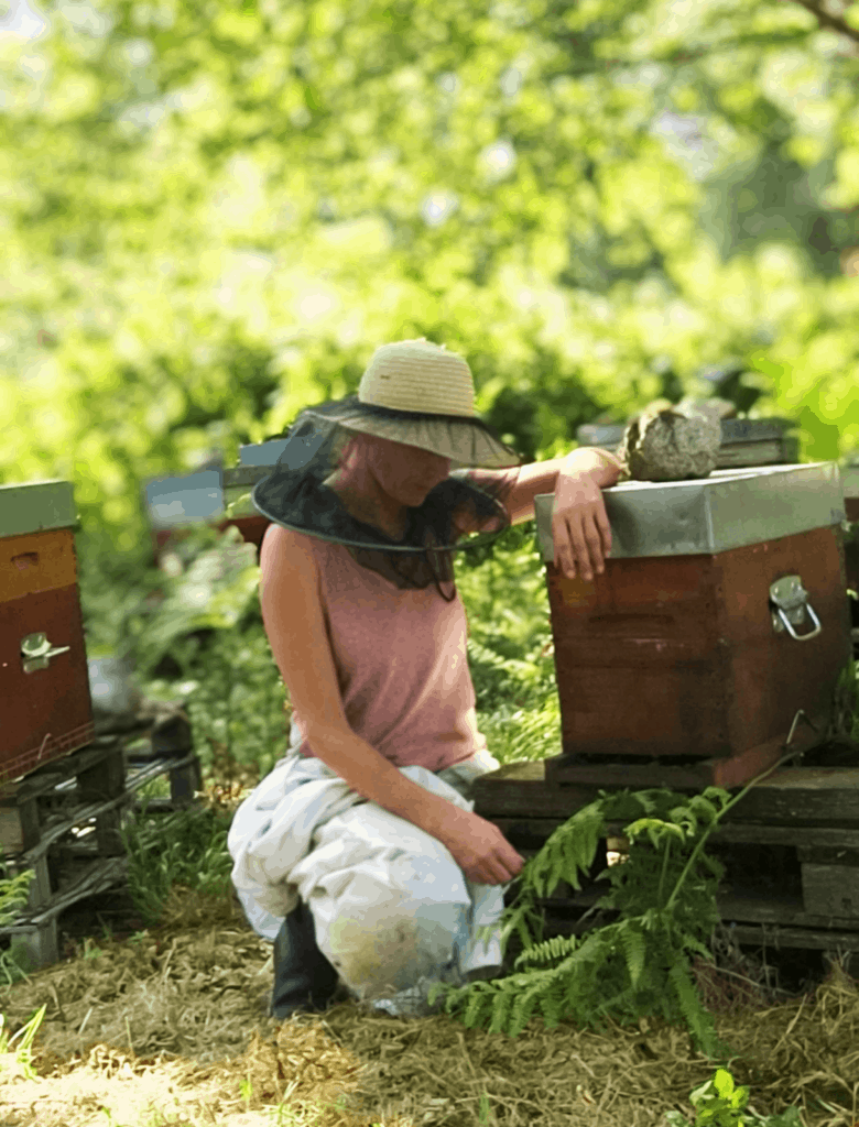 acheter miel bio direct producteur 