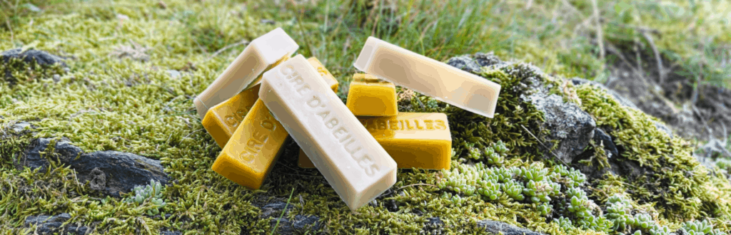 Cire d'abeille: bienfaits et usages