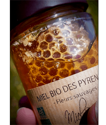 miel brut france 